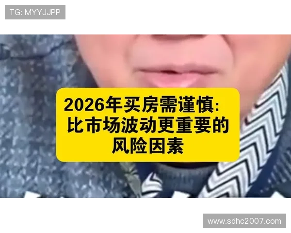 法马资料分析显示市场波动加剧，投资者需关注风险与应策略略